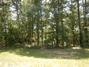 New Homes For Sale This Week in Greensboro: August 15th to August 21st
