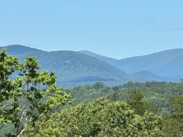 51 Overlook Cove, Dahlonega, GA 30533