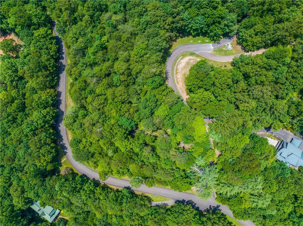 LT104 Mountain Creek Hollow Dr., Talking Rock, GA 30175