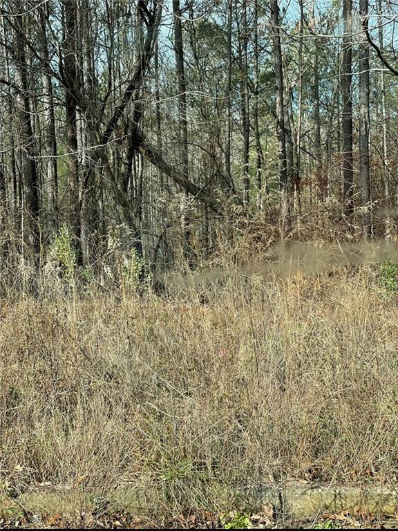 Mulligan Way, Jasper, GA 30143