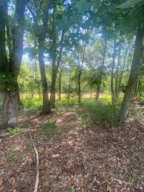 1764 Flatbottom Rd., Ball Ground, GA 30107