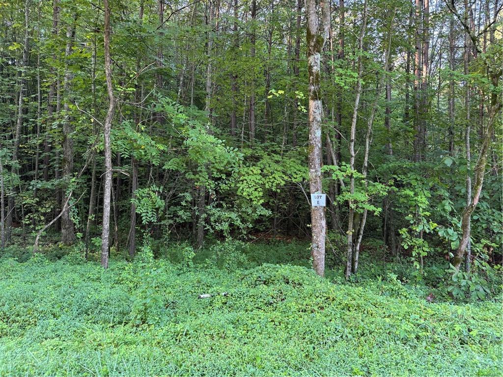 W Price Creek Rd., Talking Rock, GA 30175