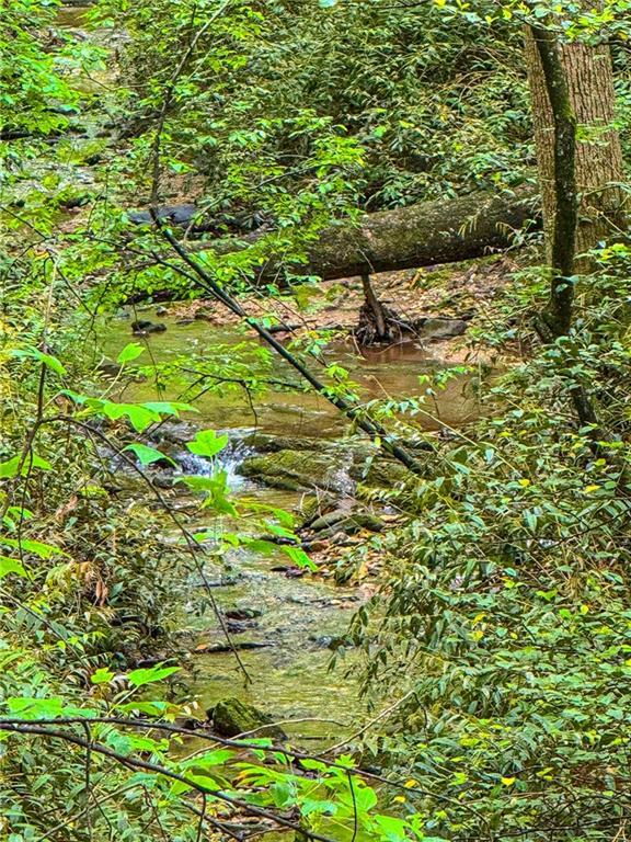 00 Cavender Creek Rd., Dahlonega, GA 30533