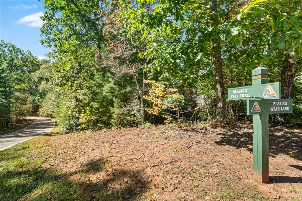 288 Blazingstar Tr., Big Canoe, GA 30143