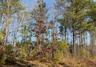 New Homes For Sale This Week in Tallapoosa: August 15th to August 21st