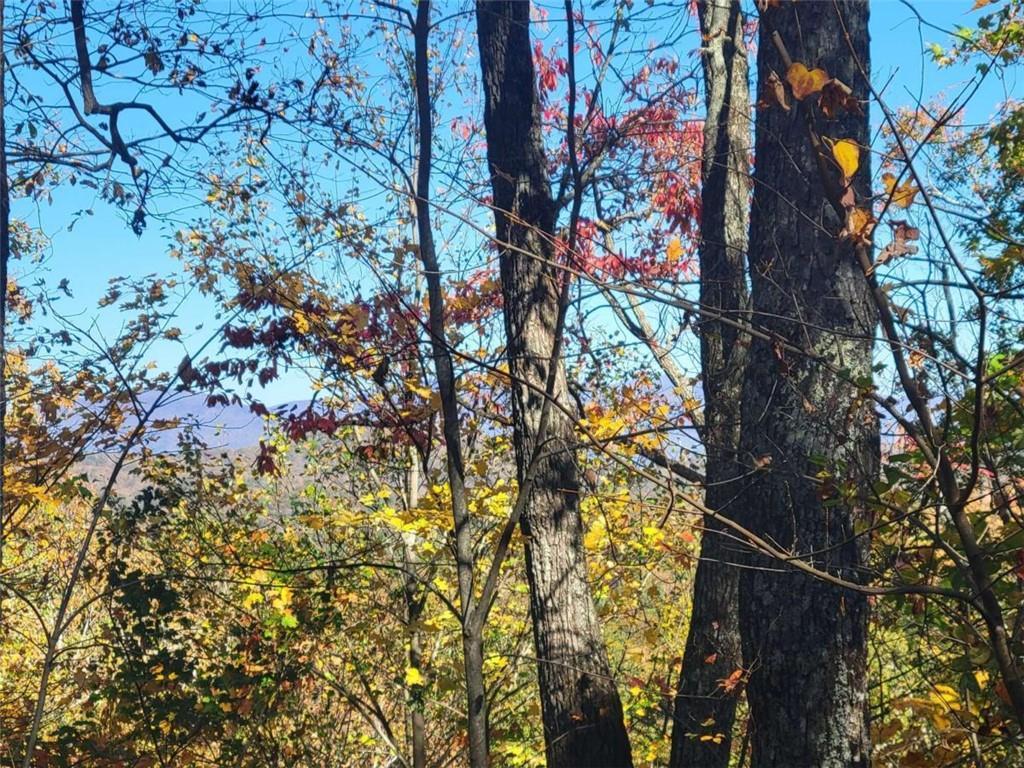 14 AC Old Burnt Mountain, Ellijay, GA 30540