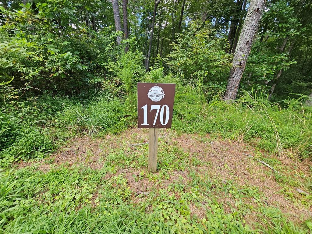 Overlook Way, Ellijay, GA 30540