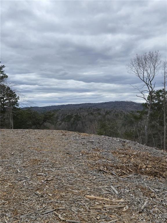 [Address Hidden by Seller], Talking Rock, GA 30175
