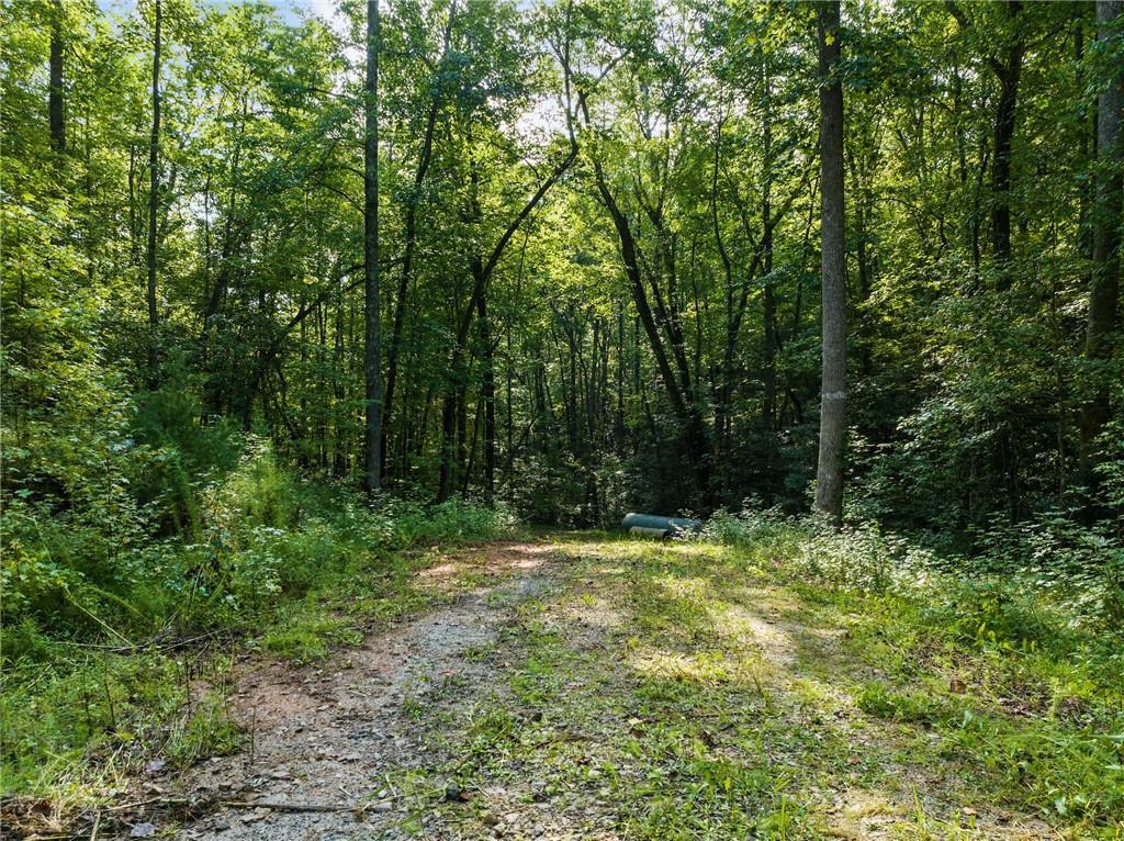 2041 Long Branch Rd., Dahlonega, GA 30533