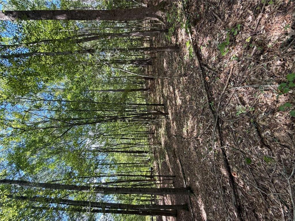 Manning Gin Rd., Monroe, GA 30656