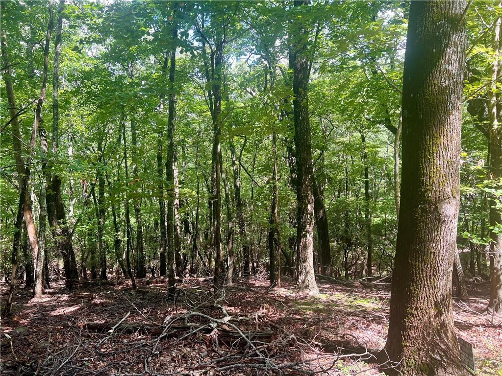 750 Tee Ct., Jasper, GA 30143