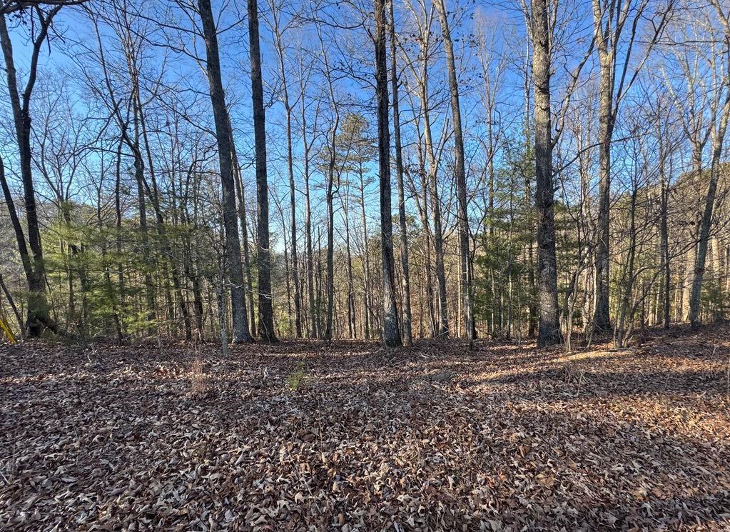 Rebekah Ridge Lot 1710, Talking Rock, GA 30175