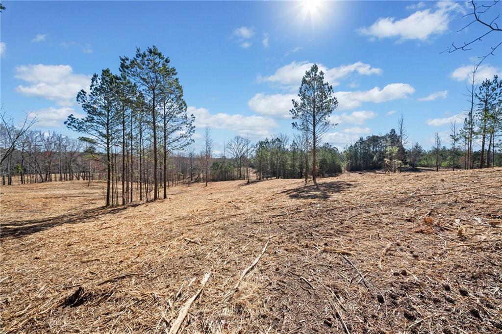 460 Mt. Olive Church Ln., White, GA 30184