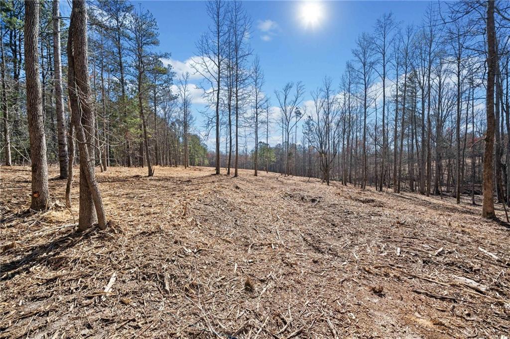472 Mt. Olive Church Ln., White, GA 30184
