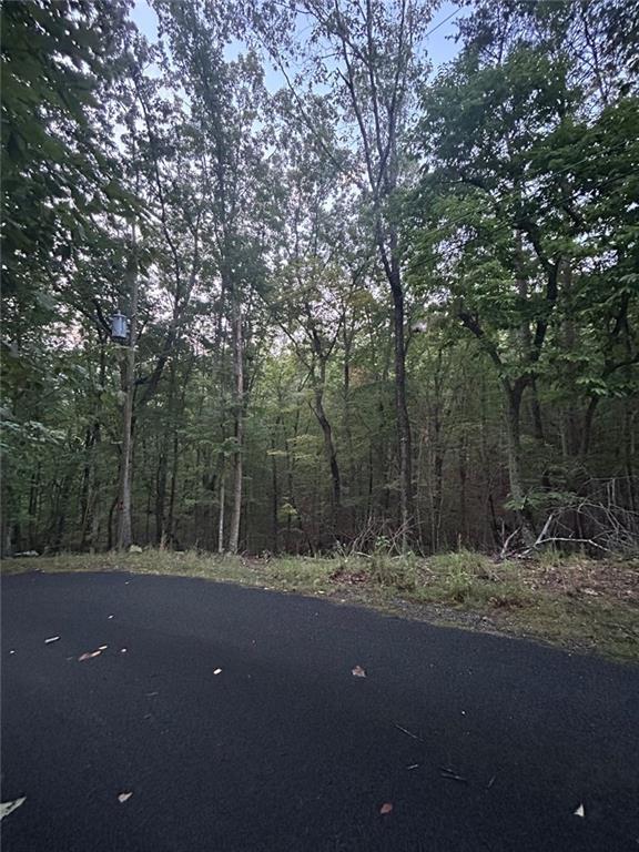 110 Siddiqui Court Ct., Waleska, GA 30183