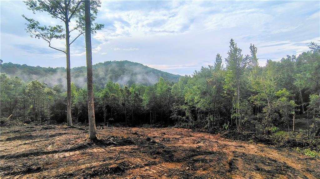 Hawthorne Hill Rd., Jasper, GA 30143