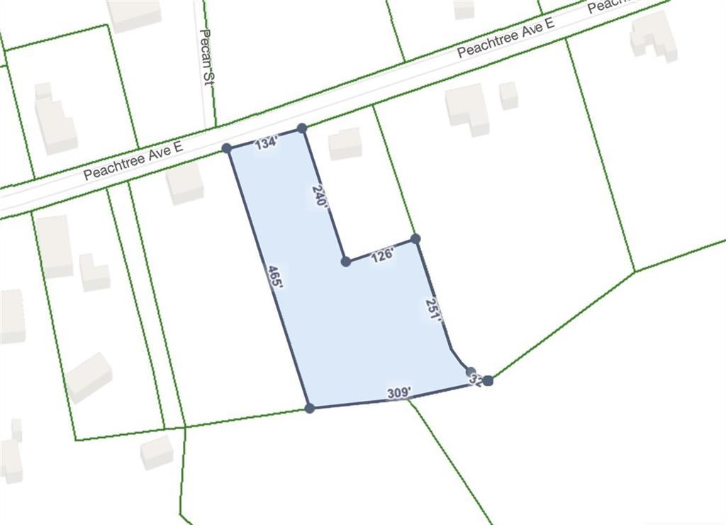 1249 E Peachtree Ave., Union Point, GA 30669