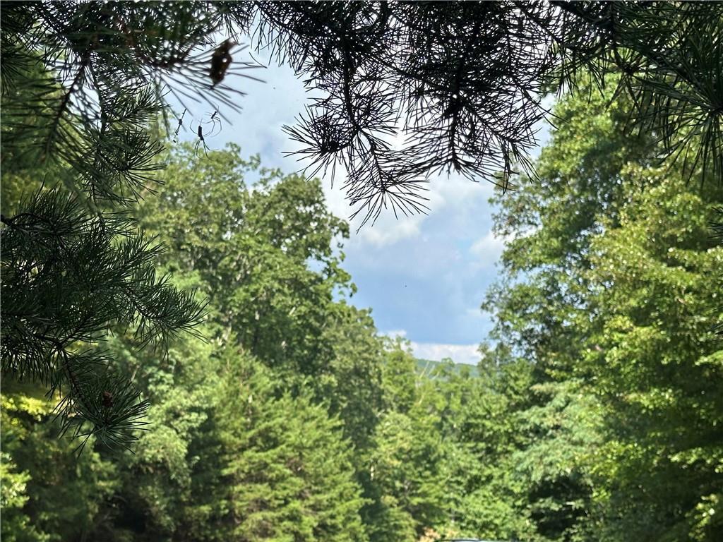 257 Andes Ridge, Ellijay, GA 30536