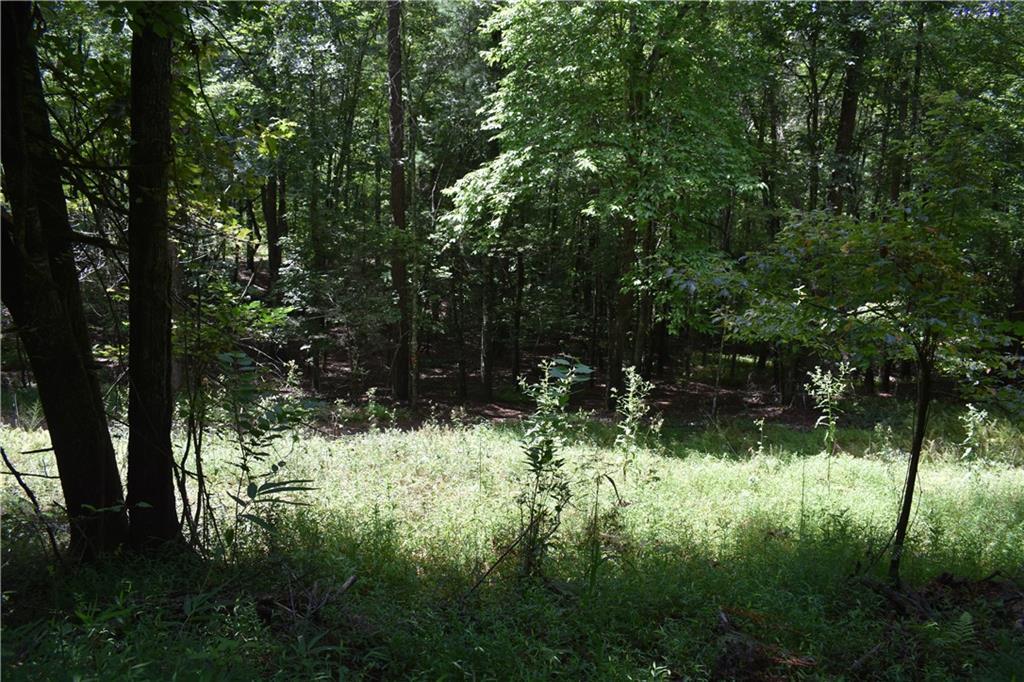 Lot 44 Synacia Dr., Mineral Bluff, GA 30559