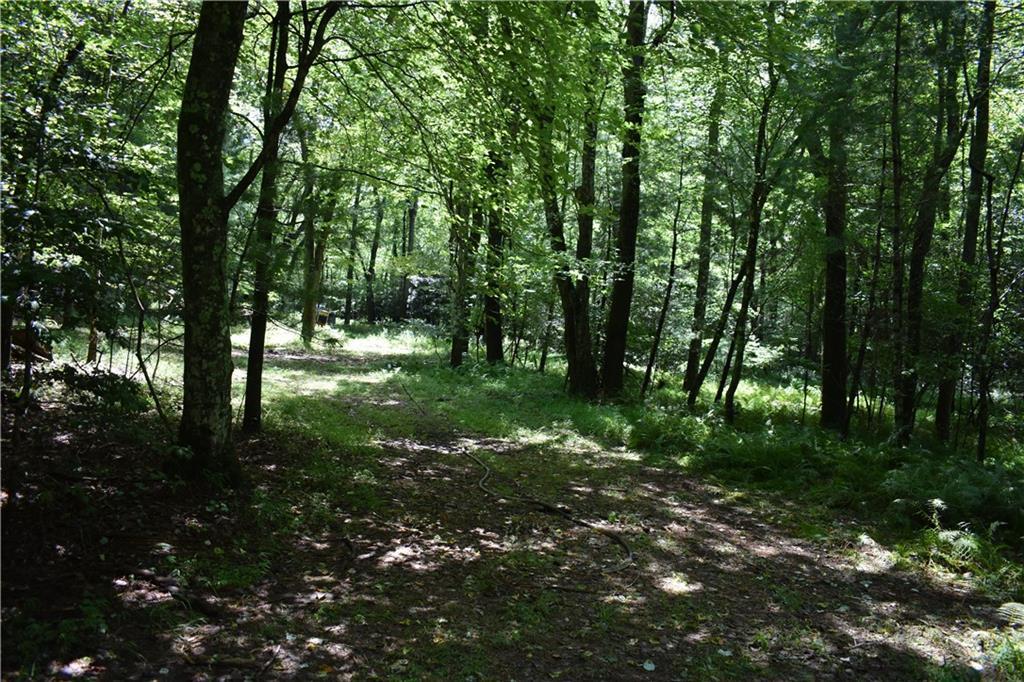 Lot 45 Synacia Dr., Mineral Bluff, GA 30559