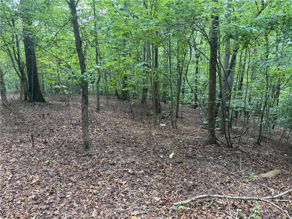 140 Joe Green Ln., Canton, GA 30114