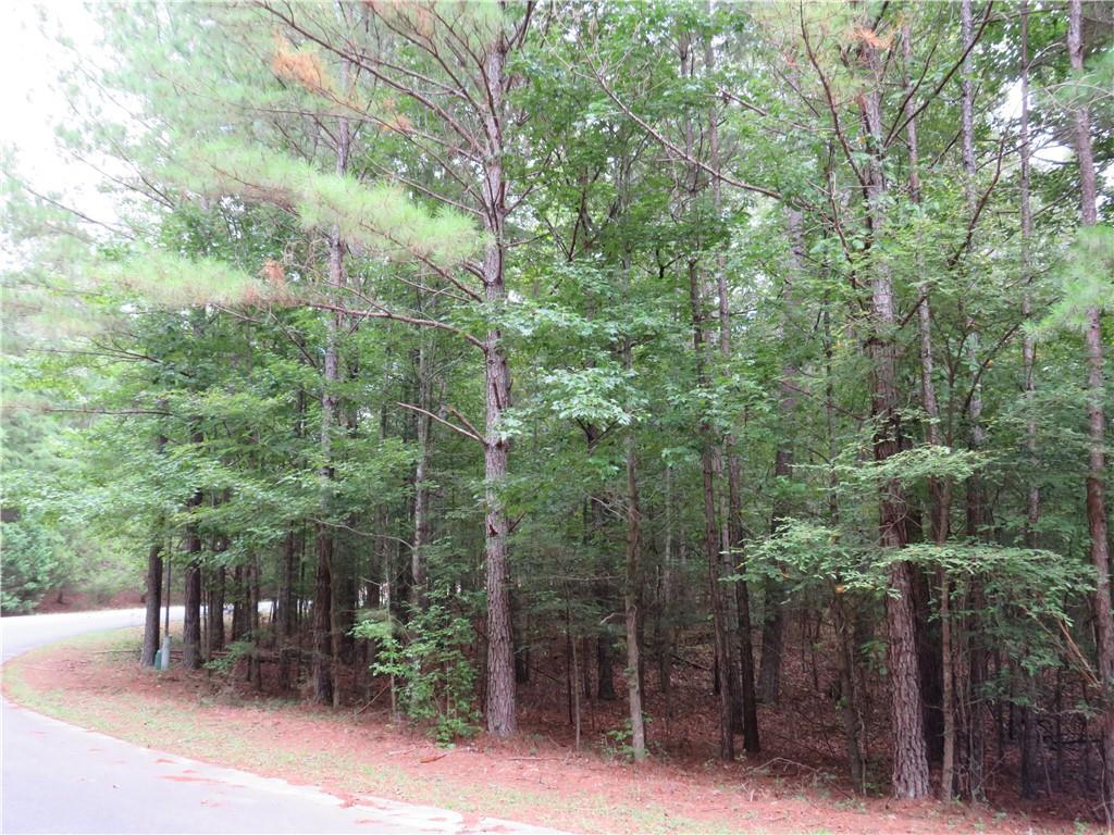 Woodlawn Dr., Cedartown, GA 30125