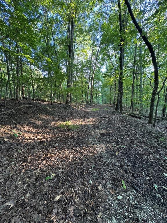 Bull Gap Rd., Talking Rock, GA 30175