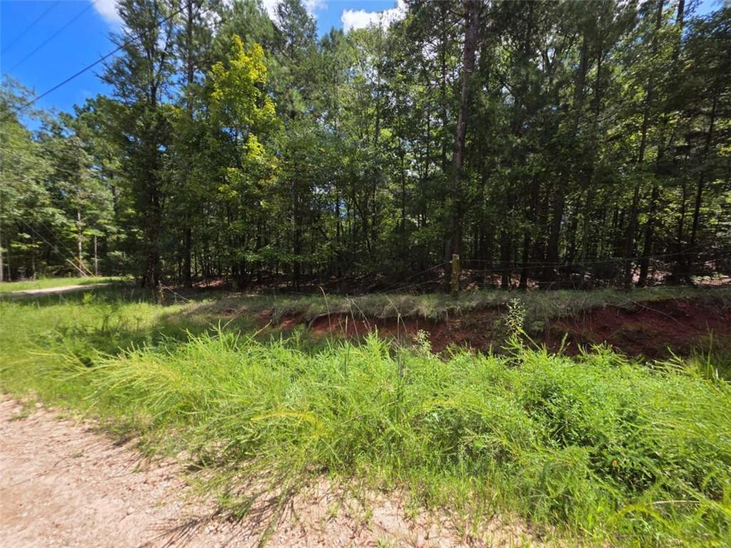 00 Tim Prince Dr., Elberton, GA 30635