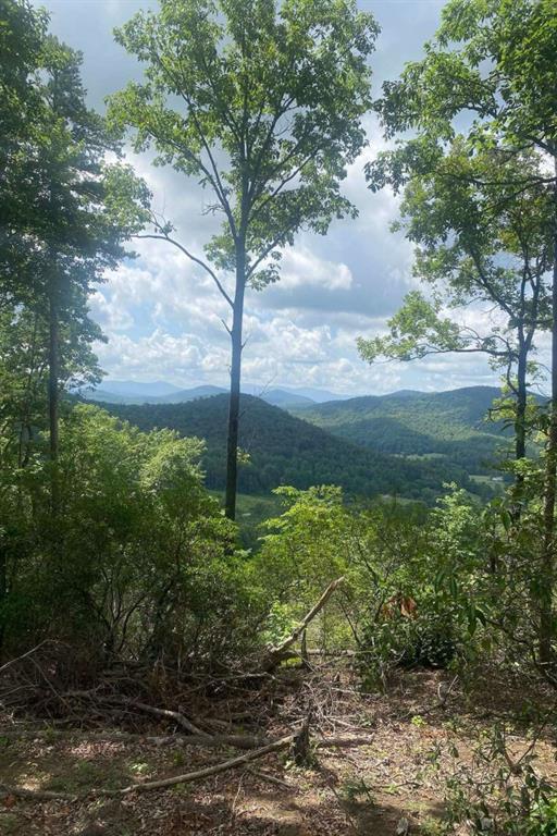2 Oasis Ln., Blue Ridge, GA 30513