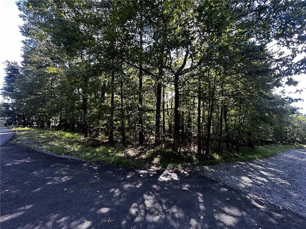 00 Elk Ct., Jasper, GA 30143