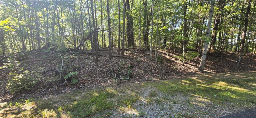 00001 Outback Rd., Talking Rock, GA 30175
