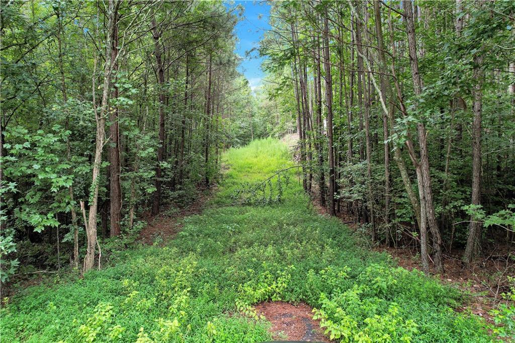 5287 Yeager Rd., Douglasville, GA 30135