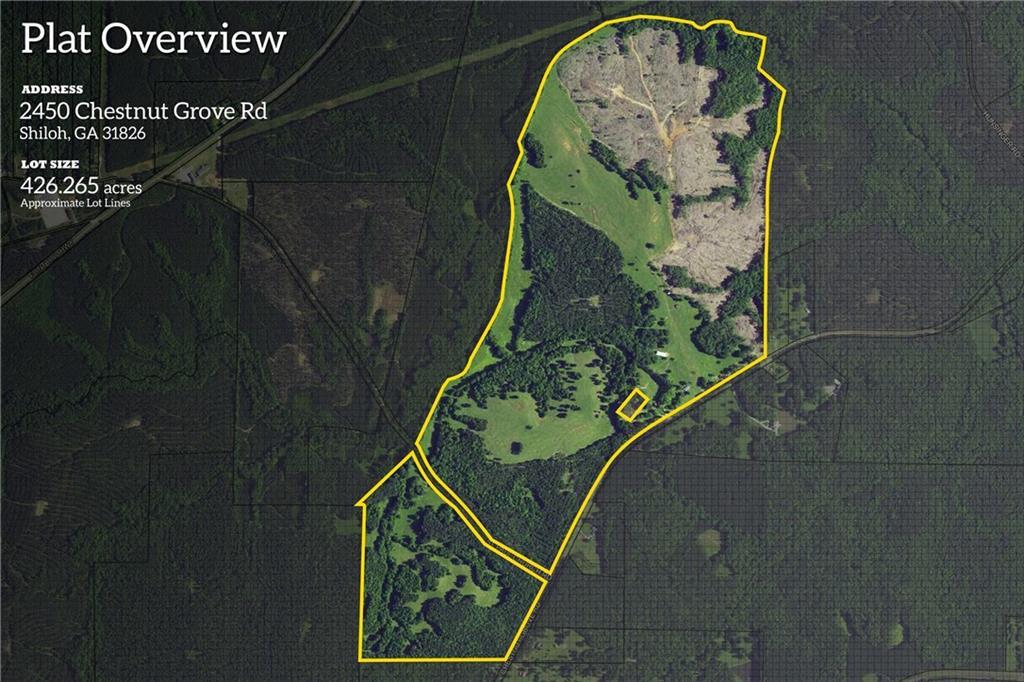 2450 Chestnut Grove Rd., Shiloh, GA 31826