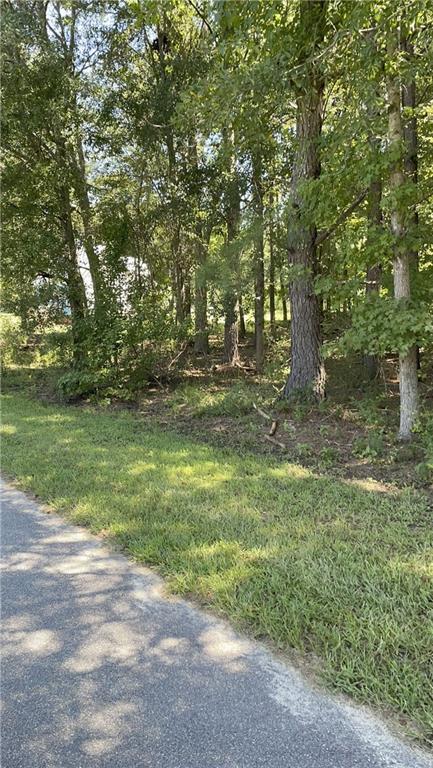 1091 Mantahala Lot 1 Ave., Greensboro, GA 30642