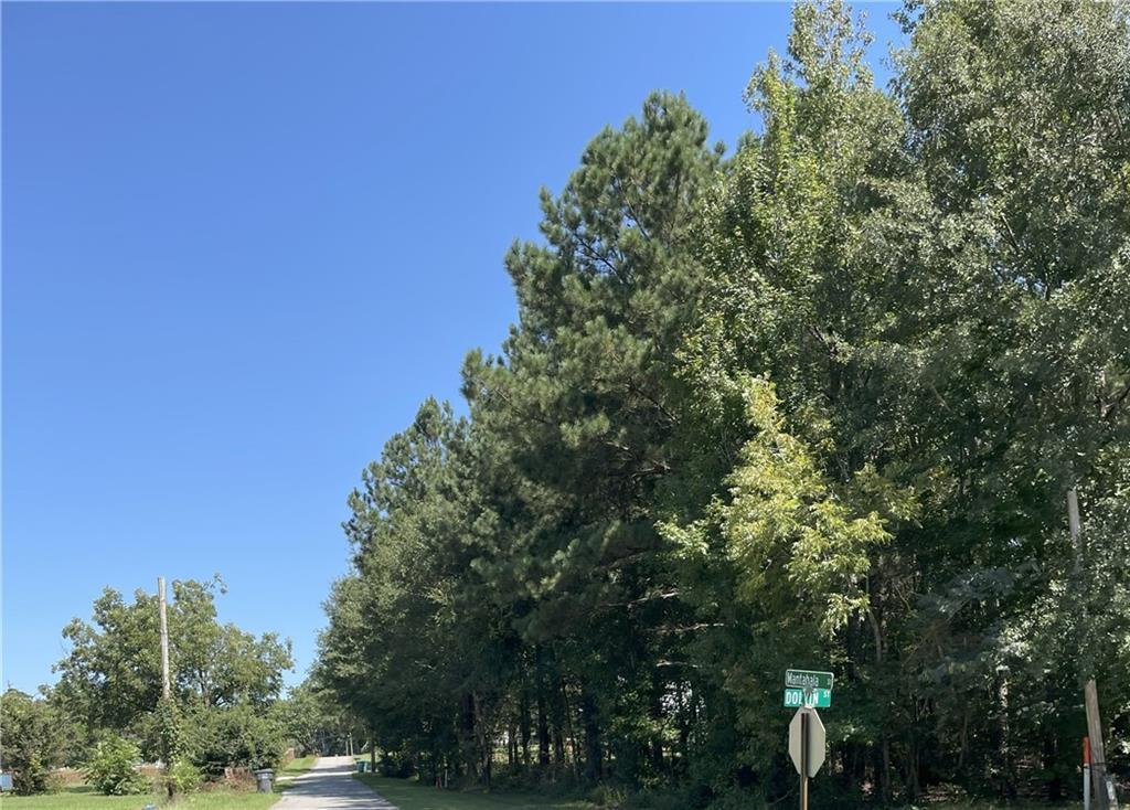 1091 Mantahala Lot 1 Ave., Greensboro, GA 30642