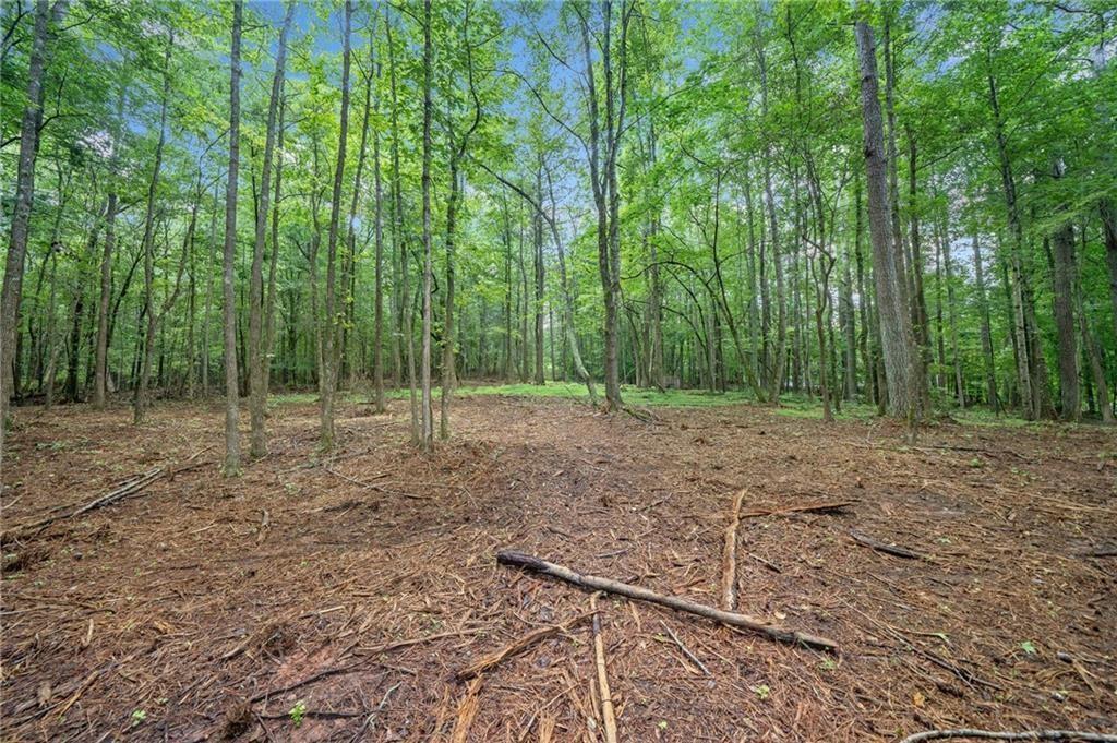 14880 Freemanville Rd., Milton, GA 30004