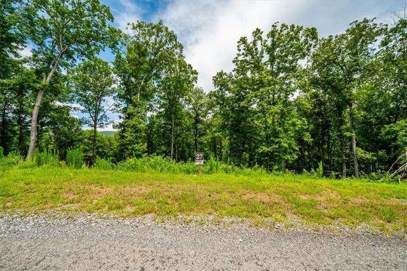 Ridge Drive, Morganton, GA 30560