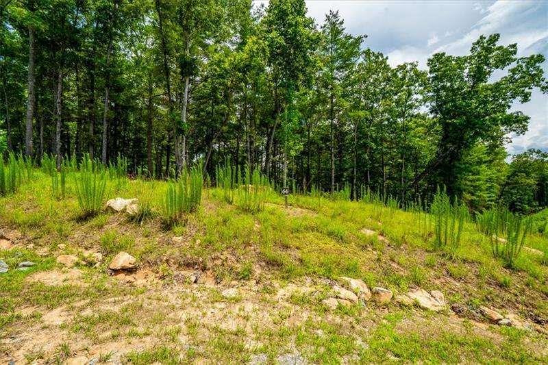 0 #64 Ridge Drive Cir., Morganton, GA 30560