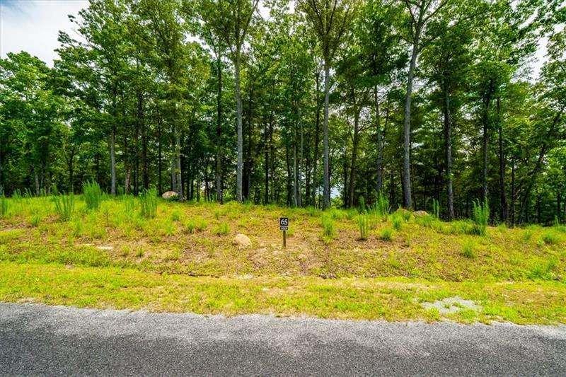 0 #65 Ridge Drive Cir., Morganton, GA 30560