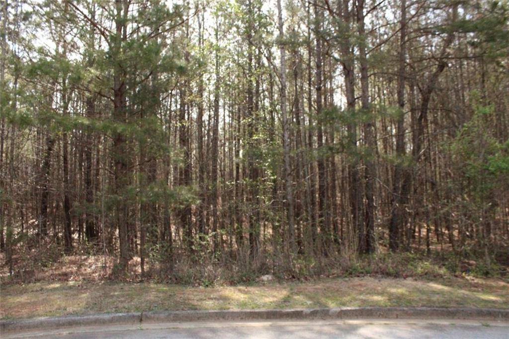 7732 Austin Ct., Winston, GA 30187