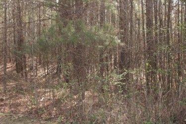 8747 Camron Dr., Winston, GA 30187