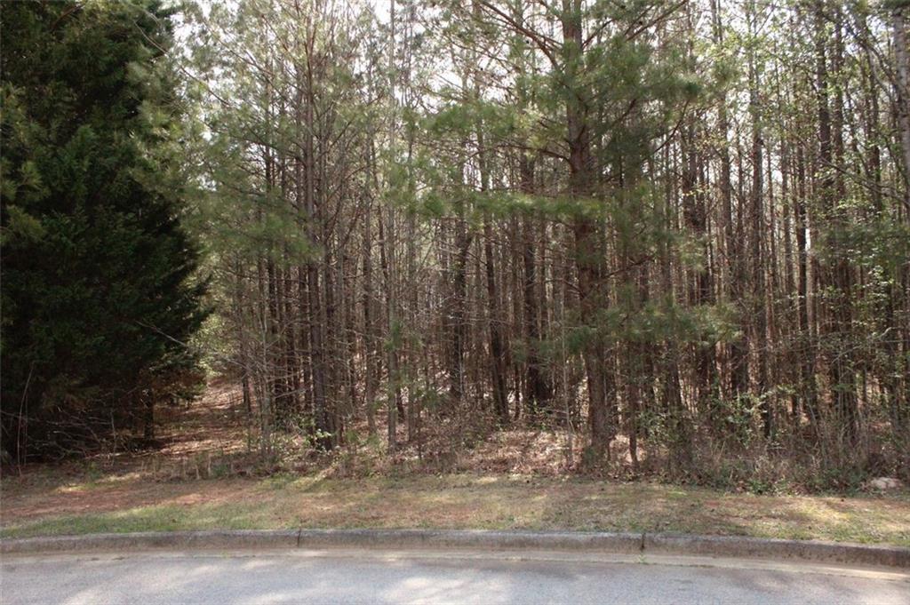 7718 Cheviot Dr., Winston, GA 30187