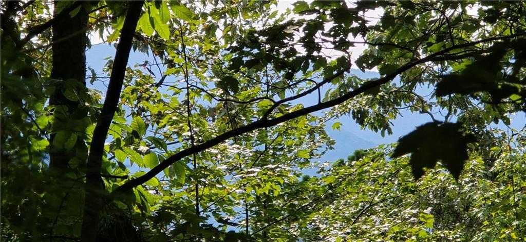 Lot 17 Abbott Mill Rd., Ellijay, GA 30540
