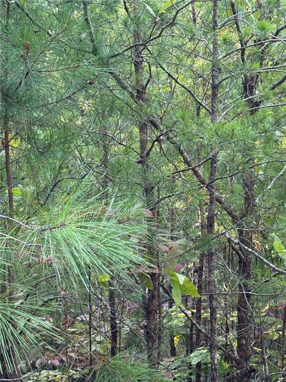 Lot 18 Skyline Drive, Rockmart, GA 30153