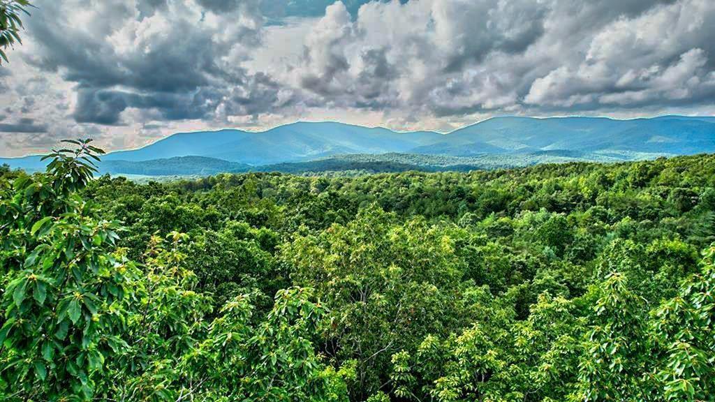 14 AC Rainbow Ridge Drive, Ellijay, GA 30540