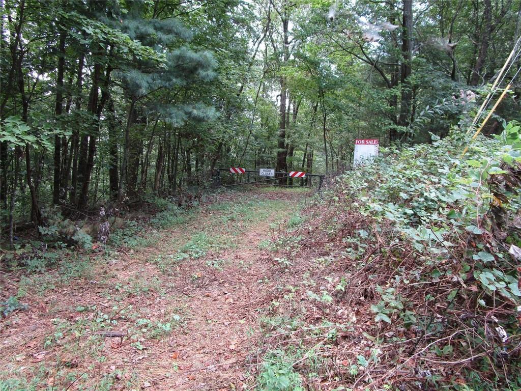 Ga Hwy 52, Ellijay, GA 30540