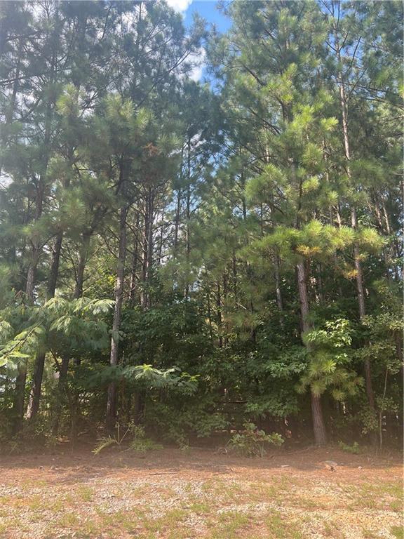 3545 Brookview Dr., Loganville, GA 30052