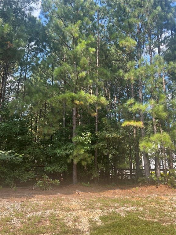 Brookview Dr., Loganville, GA 30052
