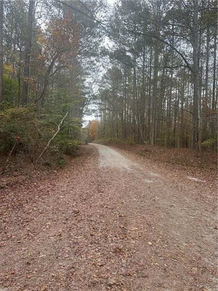 9905 Brazell Rd., Palmetto, GA 30268
