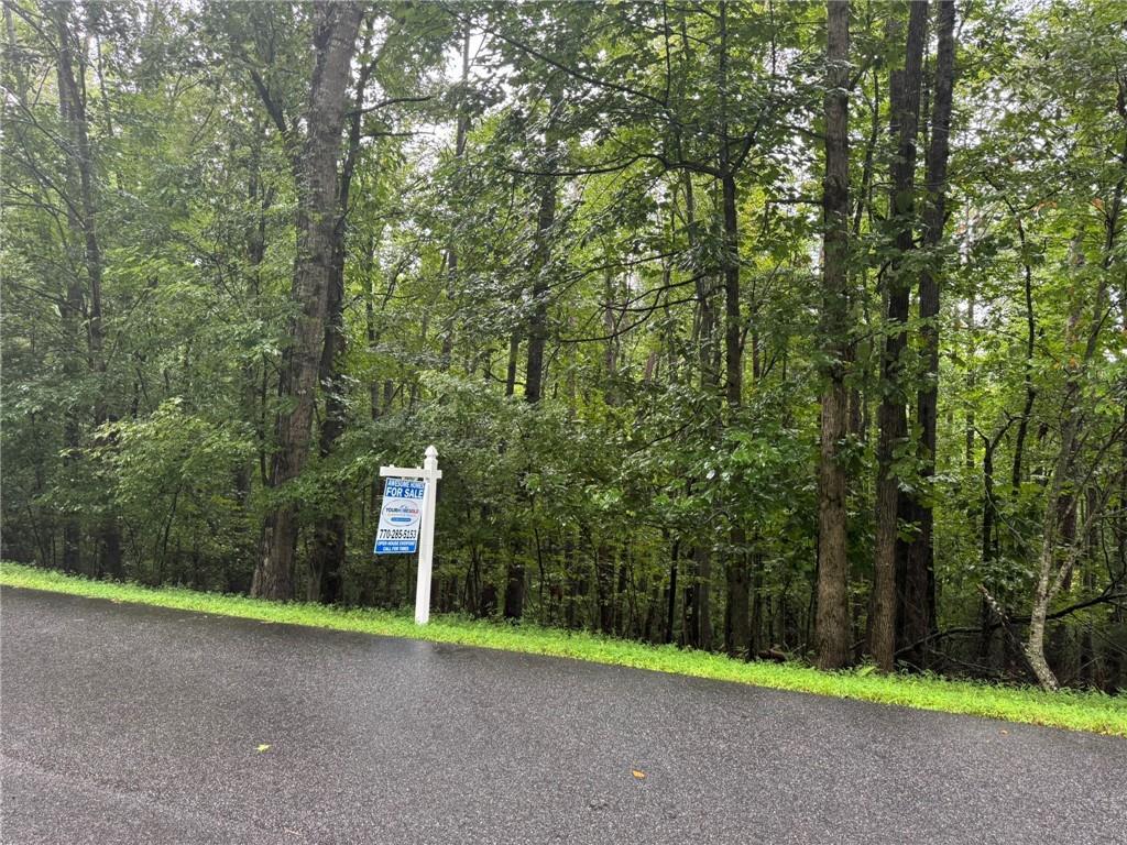 Enchanted Woods Dr, Blairsville, GA 30512